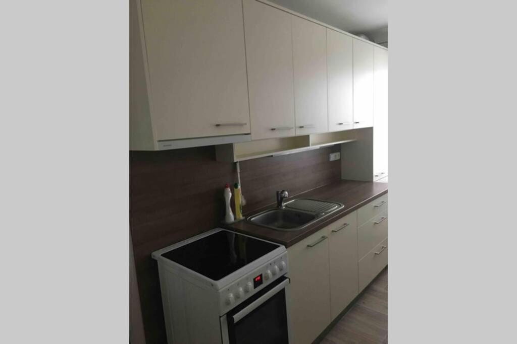 Family Apartment With Garden And Parking Spot Ceske Budejovice Esterno foto